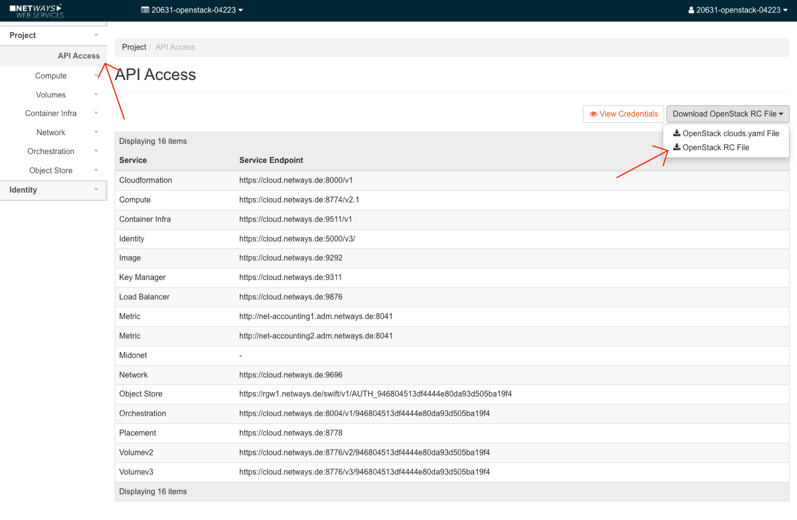 Screenshot des API Access Reiters